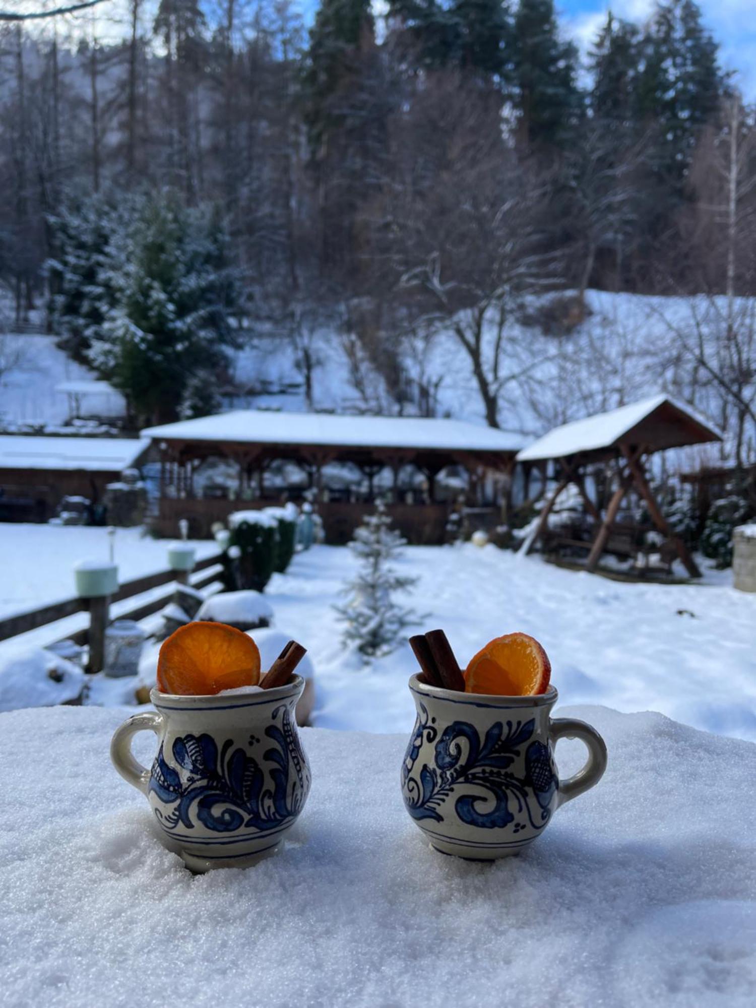 Pensiunea Domnescu Sălişte Dış mekan fotoğraf