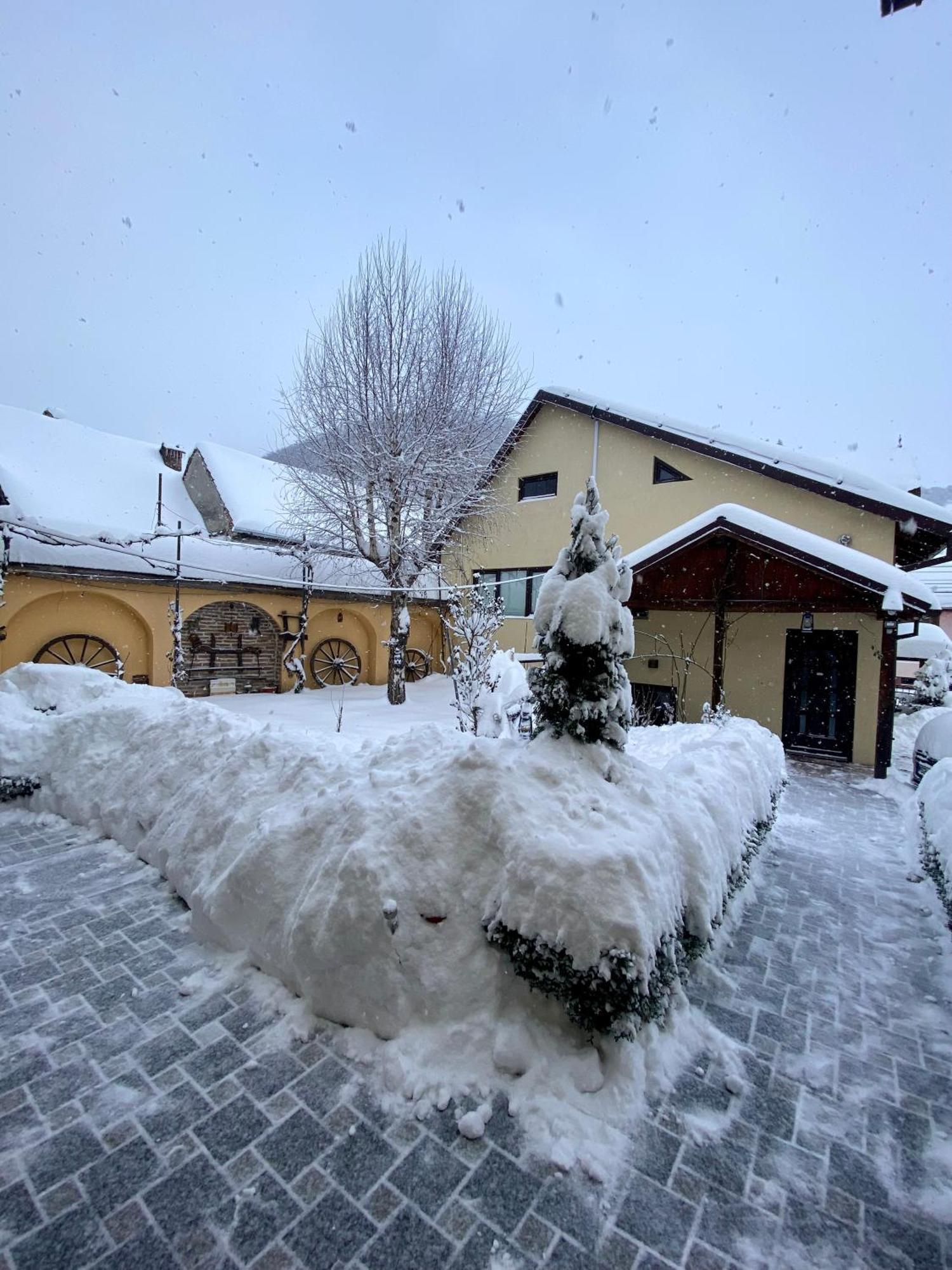 Pensiunea Domnescu Sălişte Dış mekan fotoğraf