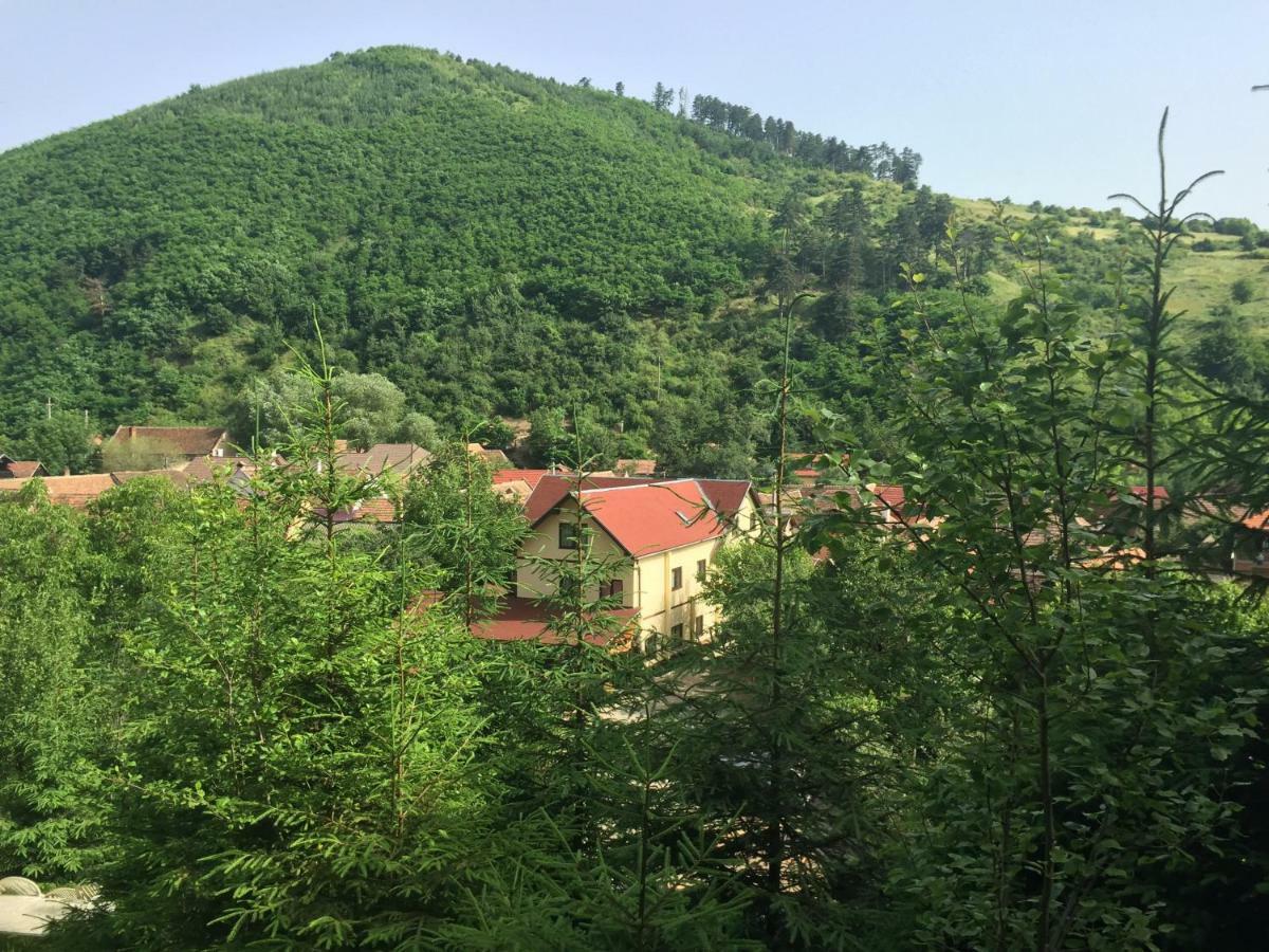 Pensiunea Domnescu Sălişte Dış mekan fotoğraf